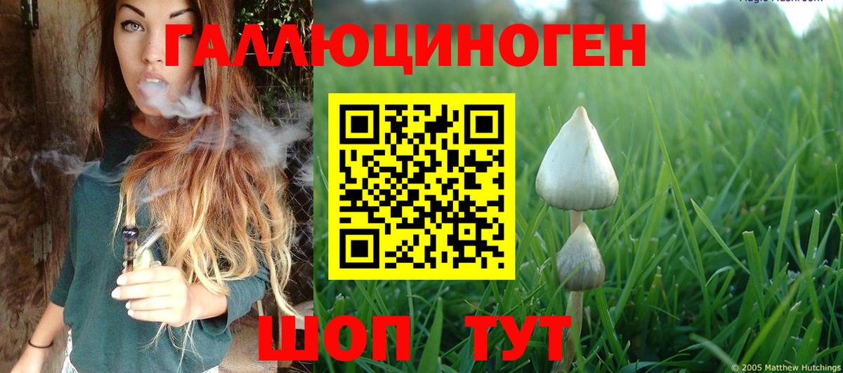 Псилоцибиновые грибы мицелий  Псилоцибиновые грибы Psilocybe  Пенза  Вход с VPN 
